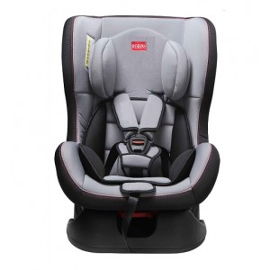 Robins car seat